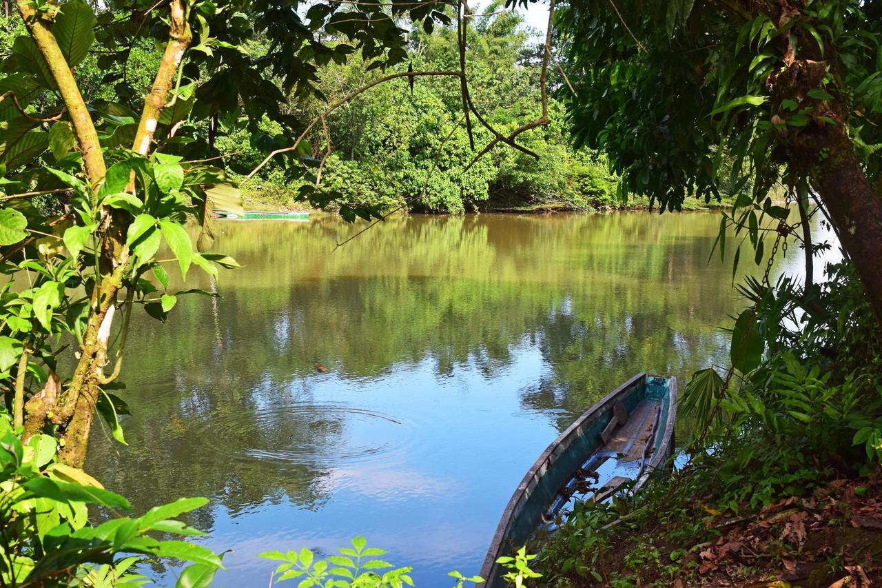 Suchipakari Amazon Eco -Lodge & Jungle Reserve Puerto Misahuallí Buitenkant foto